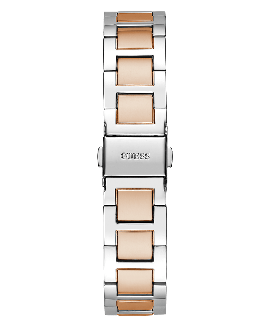 2-Tone Case 2-Tone Stainless Steel Watch