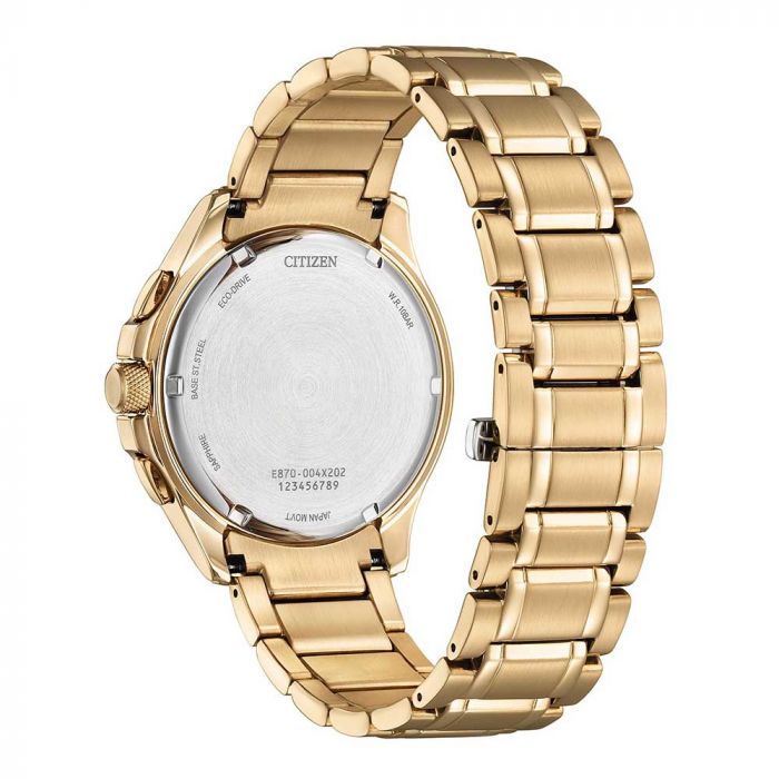 Citizen titanium gold eco drive new arrivals