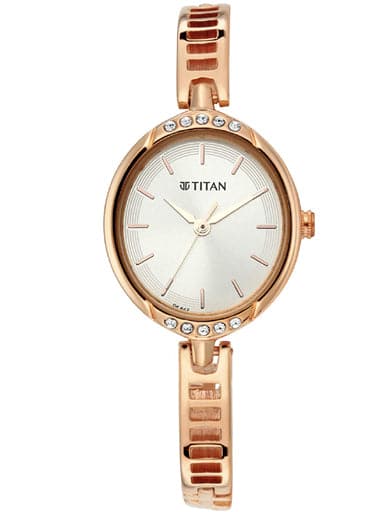 Titan Steel Dial Analog Watch Np2637Wm01